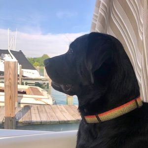 Meet your Posher, Kelly